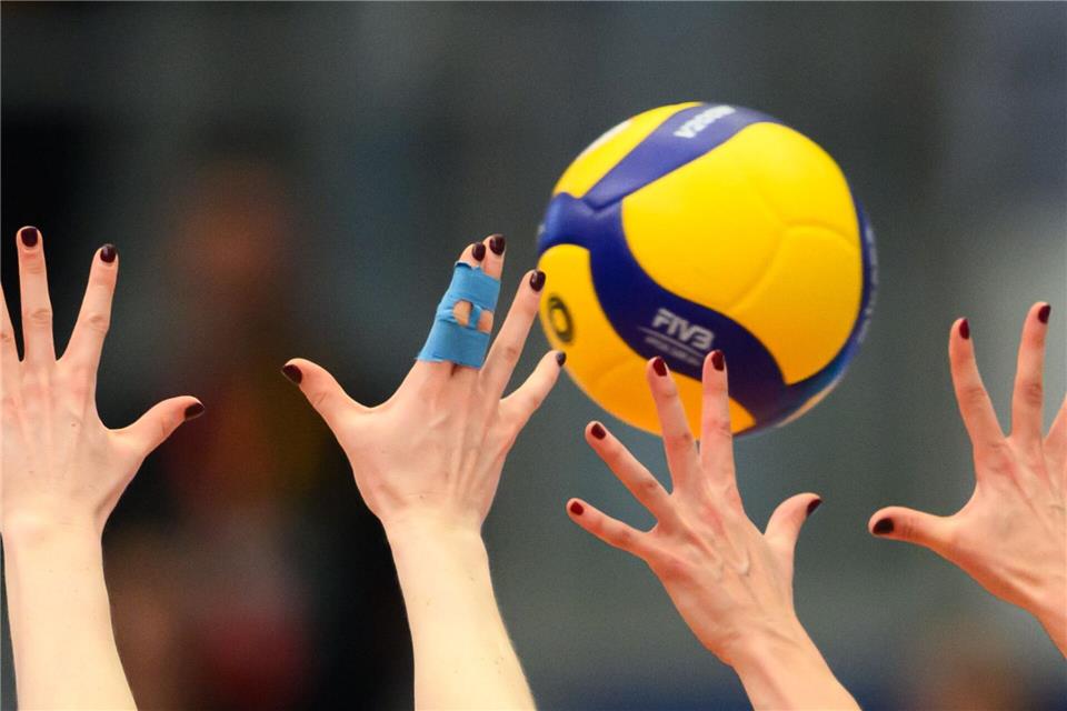 Dresdner Volleyballerinnen gewinnen erstes Viertelfinalspiel. (Archivfoto)Robert Michael/dpa