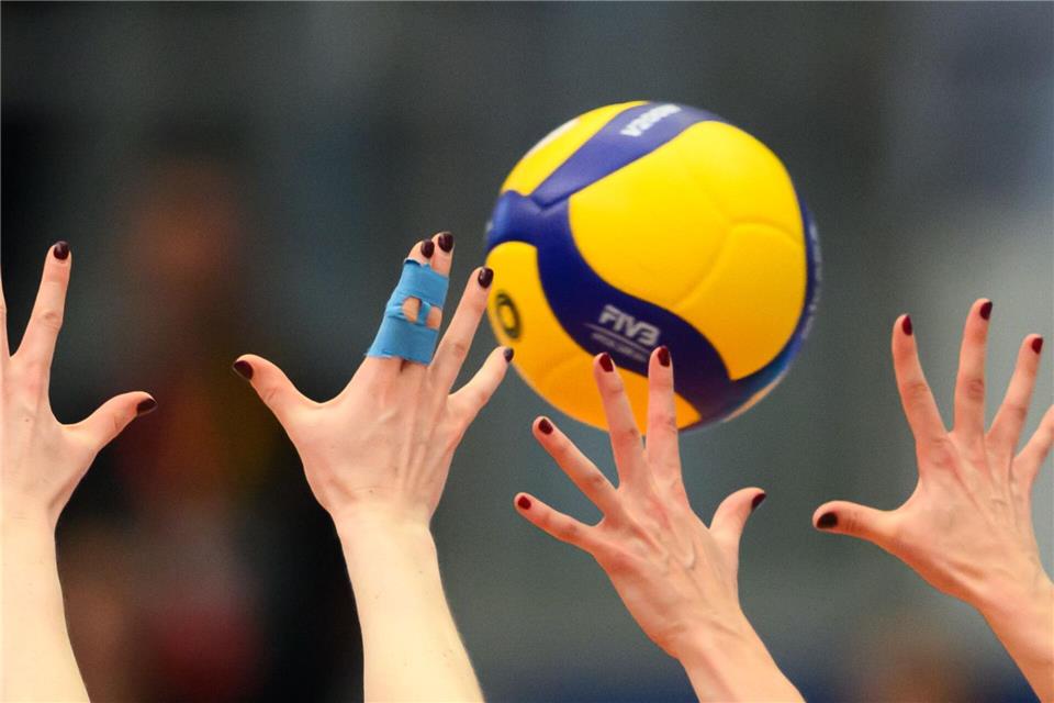 Dresdner Volleyballerinnen verpflichten Morgan Geddes. (Symbolbild)Robert Michael/dpa