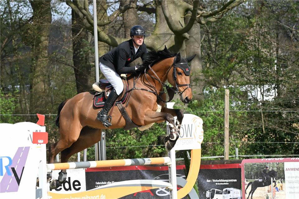 Dritter im Stechen des S*-Springens beim Großturnier des RV Rhede: Manuel Feldmann vom ZRFV Heiden, hier auf Eddy.