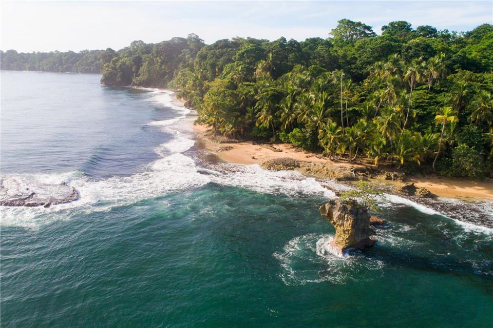 Dschungel trifft Ozean: Der Manzanillo-Nationalpark liegt an der Karibikküste Costa Ricas. Costa Rica Tourism Board/dpa-tmn