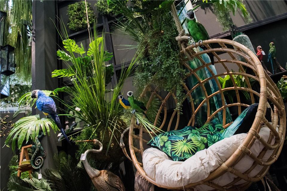 Dschungelfeeling pur: Hängende Pflanzen können jede noch so triste Wohnung in einen Urwald verwandeln.Franziska Gabbert/dpa-tmn