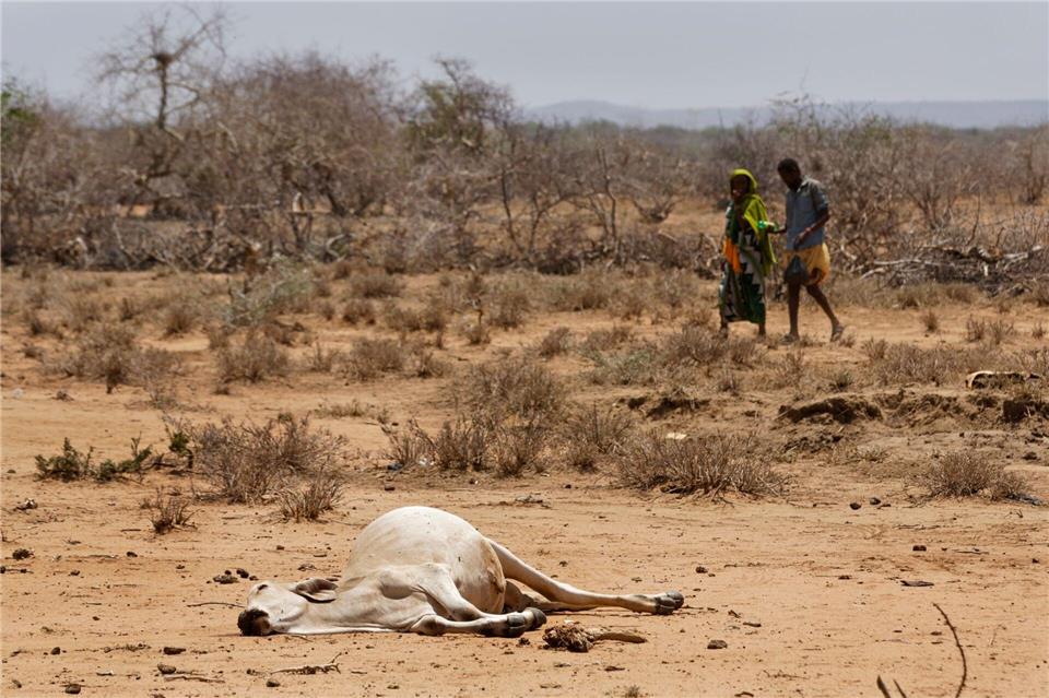 Dürren treten in Ostafrika und am Horn von Afrika häufiger und in kürzeren Abständen auf. (Archivbild)Ben Curtis/dpa