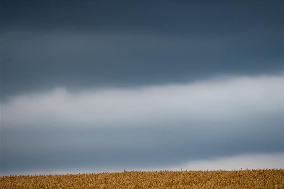 Dunkle Wolken ziehen über ein Weizenfeld. Die neue Woche startet bewölkt bei 29 Grad.Thomas Banneyer/dpa