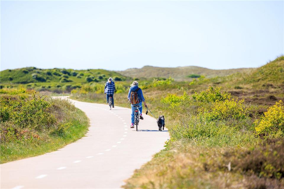 Texel für Foodies: Salzige Entdeckungen im Schafidyll Durch Dünenlandschaft geht es, aber nicht nur auf den insgesamt 140 Kilometer an Radwegen.Iris Borst/VVV Texel/dpa-tmn