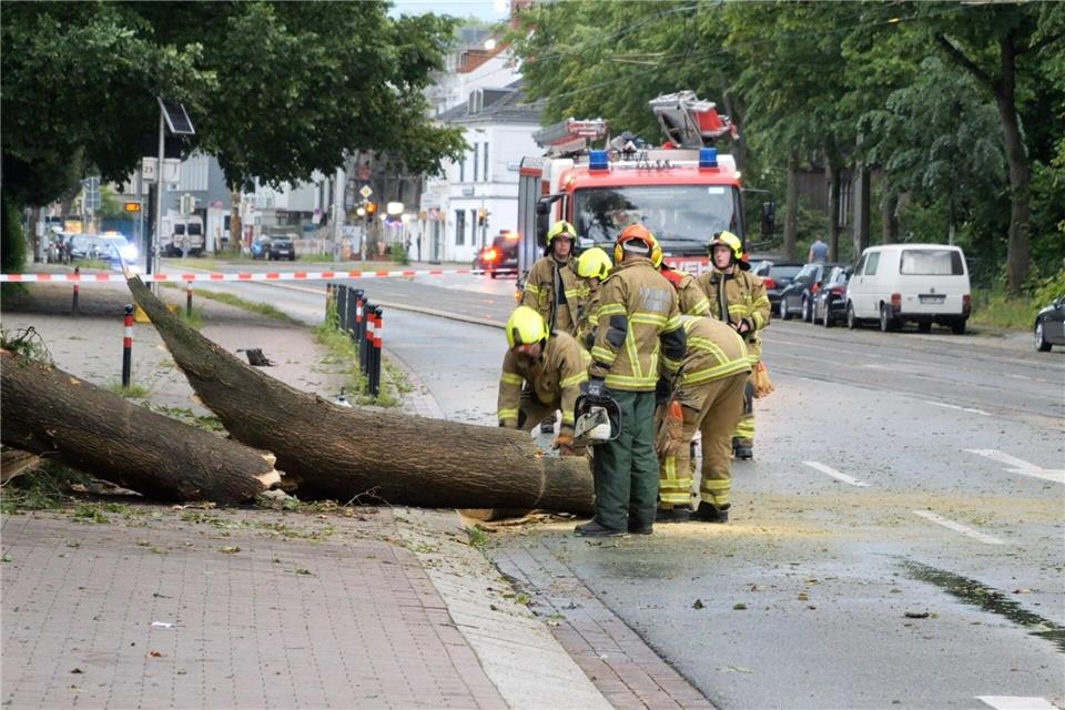 Durch das Unwetter sind einige Bäume umgekippt. Jörn Hüneke/dpa