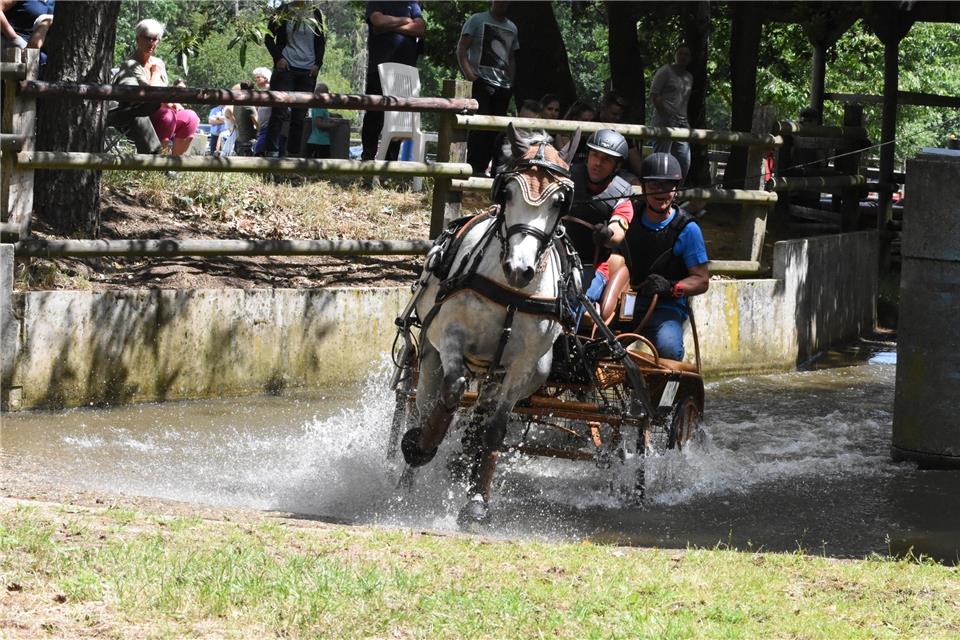 Durch das Wasserhindernis: Auf attraktiven Fahrsport dürfen sich die Zuschauer am Samstag und Sonntag in Reken freuen.