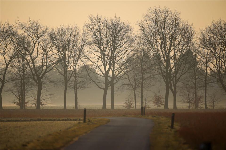 Durch den Saharastaub wird der Himmel grau und die Sonne milchig. (Archivbild)Christoph Reichwein/dpa