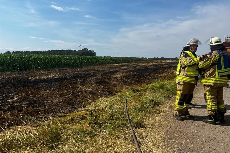 Durch den Schotterweg konnte womöglich das Übergreifen des Feuers auf das angrenzenden Waldstück verhindert werden.