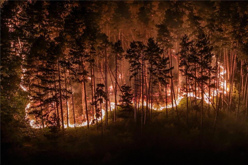 Durch die Trockenheit der vergangenen Wochen ist der Wald extrem dürr.Jason Tschepljakow/dpa