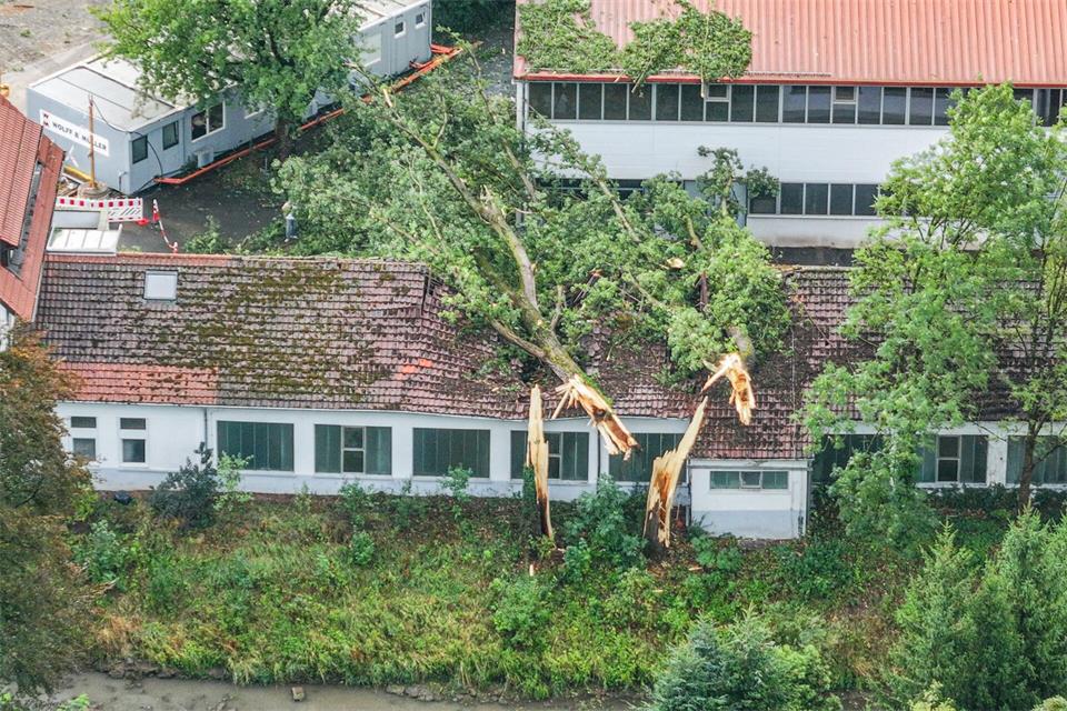 Durch die starken Gewitter stürzten auch Bäume um.Jason Tschepljakow/dpa