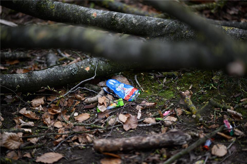 Durch einen umgestürzten Baum sind bei Flensburg drei Menschen ums Leben gekommen.Daniel Reinhardt/dpa