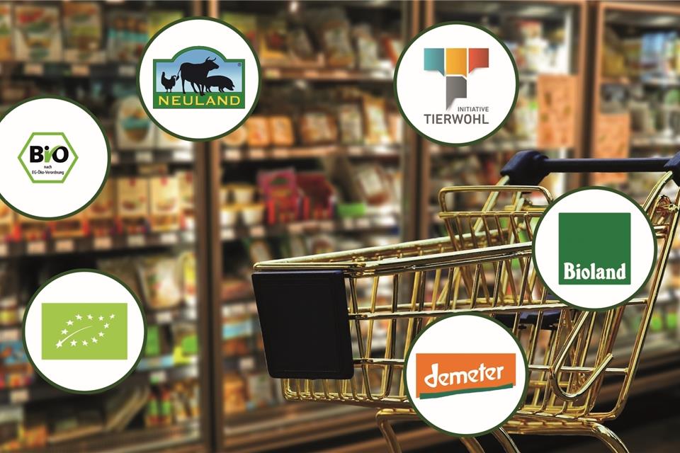 Durchblick im Siegel-Dschungel