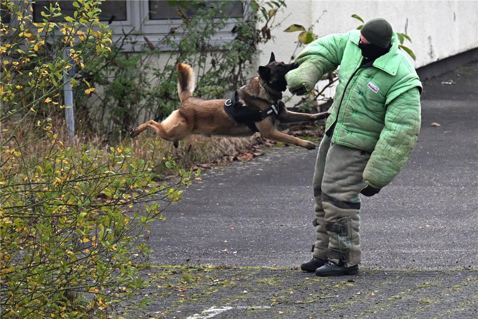 Dutzende Ukrainer sind mit ihren Hunden bereits von der Bundeswehr geschult worden.Federico Gambarini/dpa