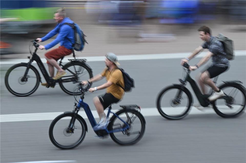 E-Bikes dominieren den deutschen Fahrradmarkt, doch die Preise fallen. (Archivbild)Arne Dedert/dpa