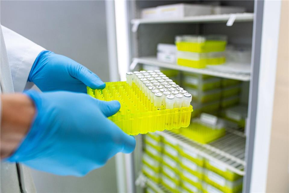 Ehec steht für enterohämorrhagische Escherichia coli und bezeichnet bestimmte krankmachende Stämme dieses im Darm vorkommenden Bakteriums.Guido Kirchner/dpa