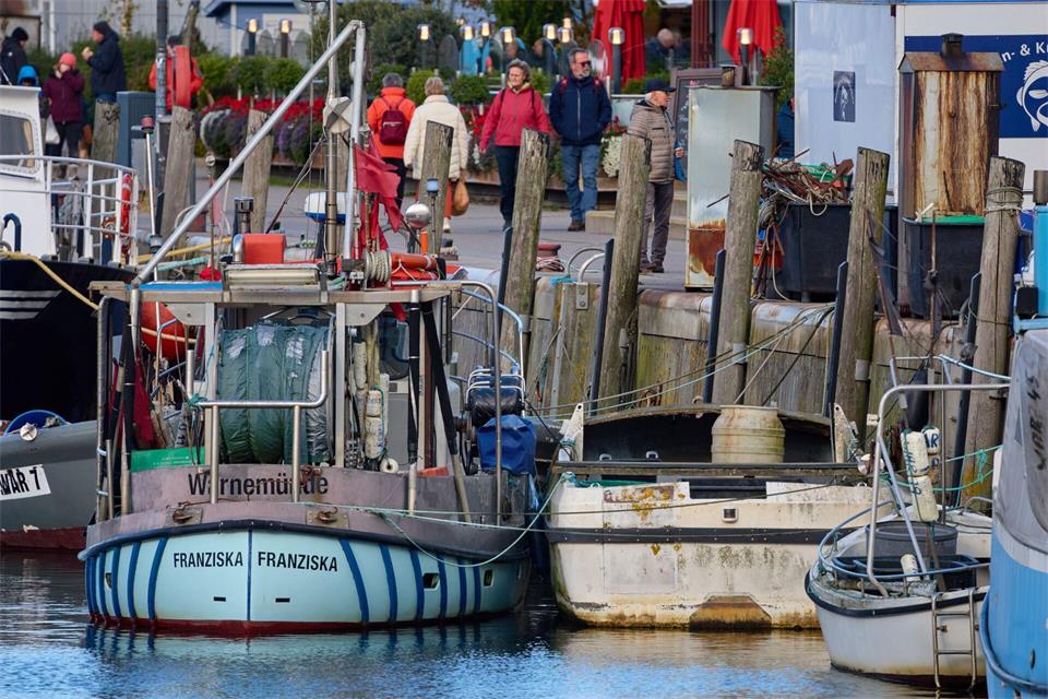 Ehemals wirtschaftlich bedeutende Fischbestände in der westlichen Ostsee dürfen nicht mehr oder nur in Ausnahmen gefangen und angelandet werden. (Archivbild)Jens Büttner/dpa