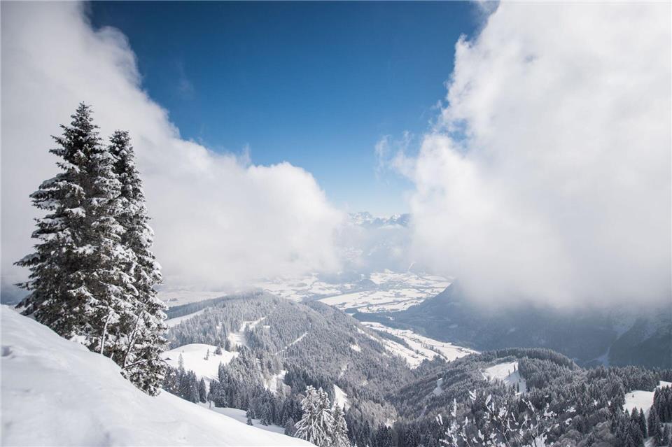 Ehrenamtliche Einsatzkräfte der Bergwacht Marktschellenberg retteten einen am Roßfeld-Skigebiet abgestürzten Hund - sie fanden ihn im Steilgelände. (Archivbld)Lino Mirgeler/dpa