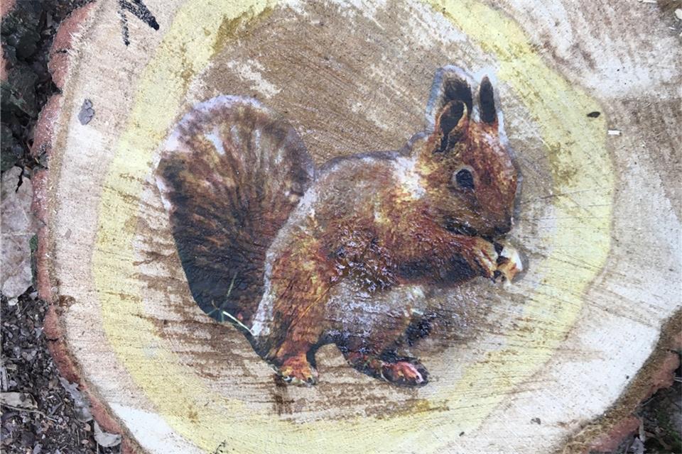 Eichhörnchen sind auf den Baumscheiben zu sehen, die Kinder mitnehmen durften.
