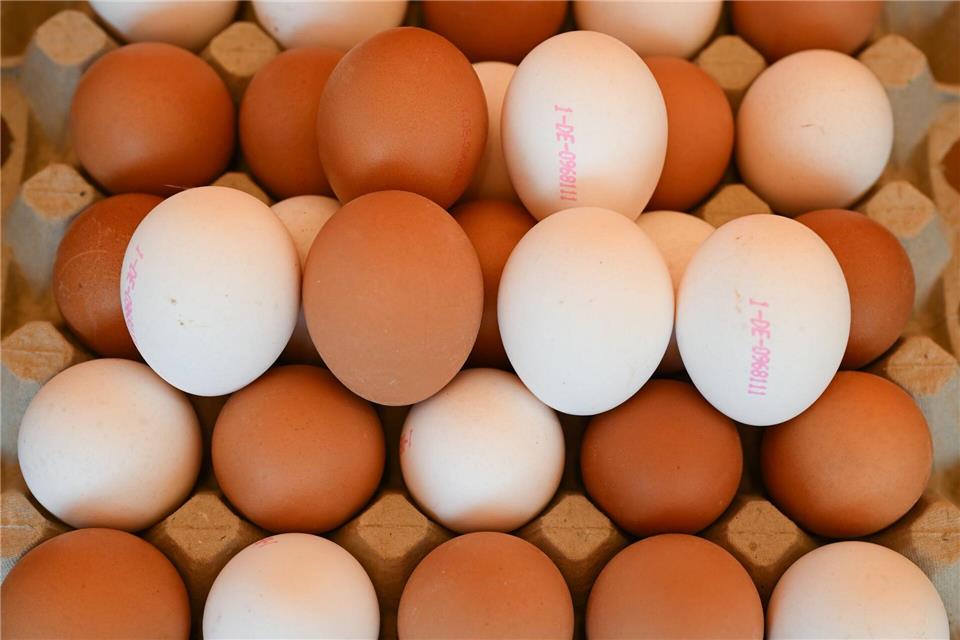 Eier aus regionaler Produktion sind angesichts der Ausbreitung der Vogelgrippe in Hessen gefragt.    Arne Dedert/dpa