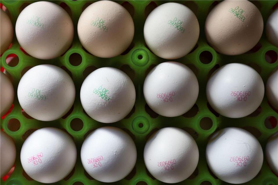 Bayerns Geflügelwirtschaft warnt vor steigenden Eierpreisen  Eier könnten durch die Vogelgrippe teurer werden. (Symbolbild)Karl-Josef Hildenbrand/dpa