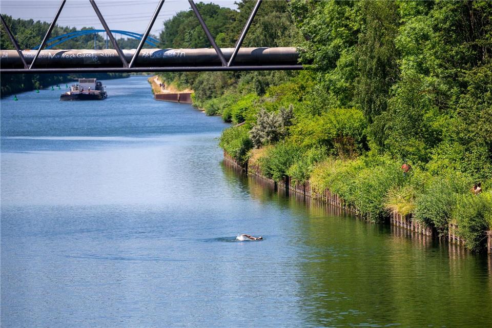 Ein 16-Jähriger ist am Samstagabend in den Rhein-Herne-Kanal gesprungen und dann untergegangen - Reanimationsversuche blieben vergeblich. (Illustration)Thomas Banneyer/dpa