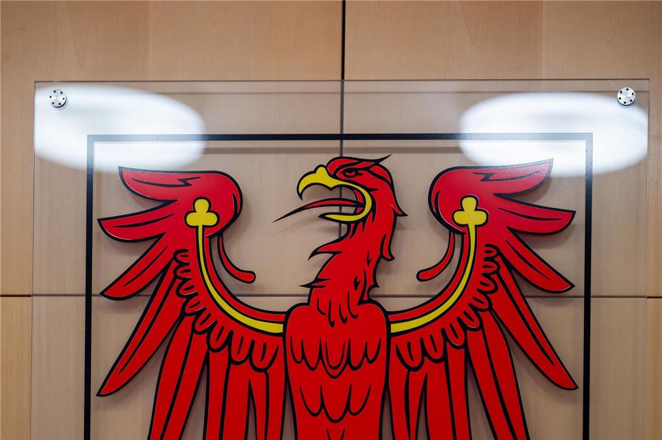 Ein 35-jähriger Mann steht am Donnerstag vor dem Landgericht in Neuruppin. (Symbolbild)Soeren Stache/dpa