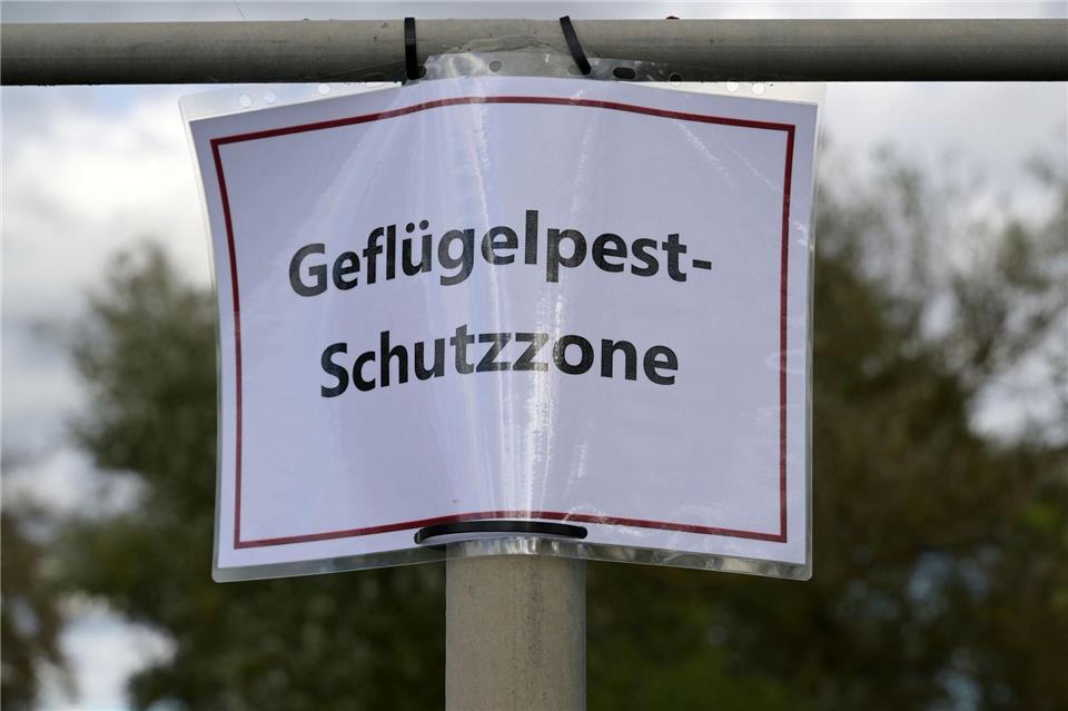 Ein Aushang weist auf eine Schutzzone nach einem Geflügelpest-Ausbruch in Roskow im Kreis Potsdam-Mittelmark hin. (Symbolbild)Michael Bahlo/dpa