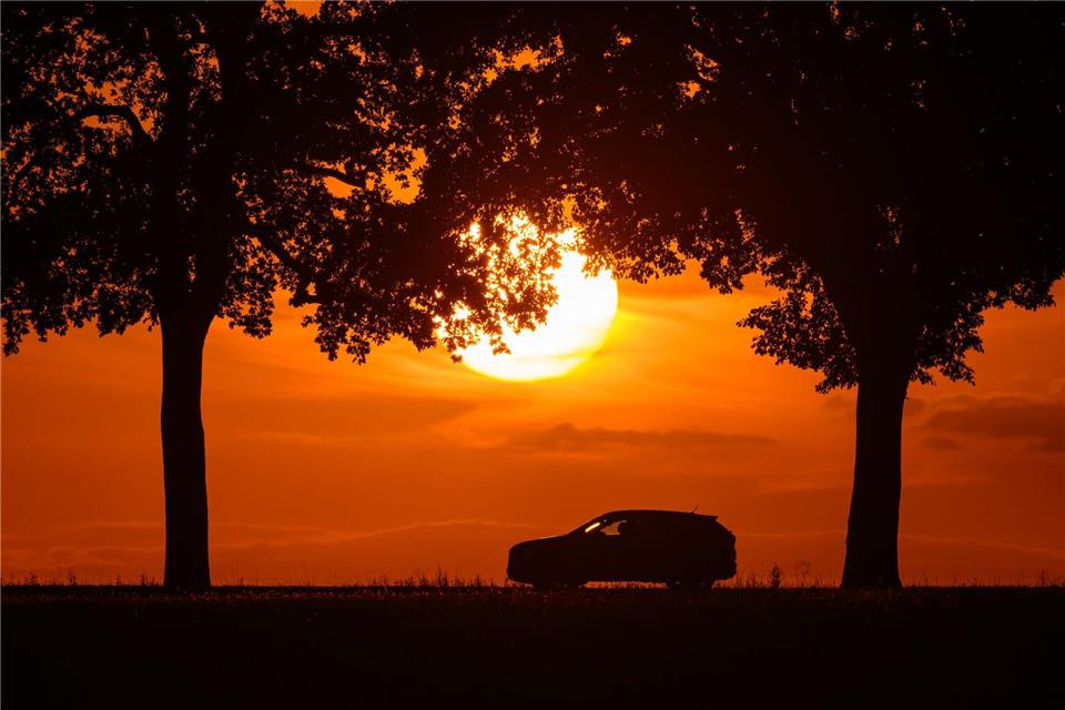 Ein Auto fährt im farbenprächtigen Sonnenuntergang über eine Allee bei Sieversdorf, im östlichen Brandenburg. Patrick Pleul/dpa