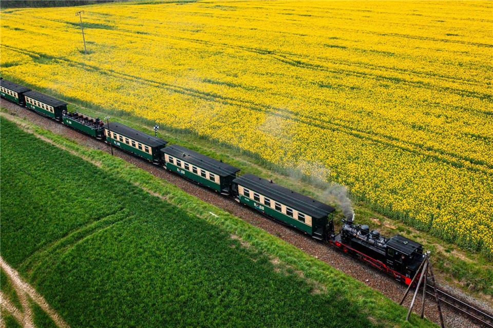 Ein Auto stößt mit der Schmalspurbahn „Rasender Roland“ zusammen. Verletzt wird niemand. (Archivbild)Jens Büttner/dpa
