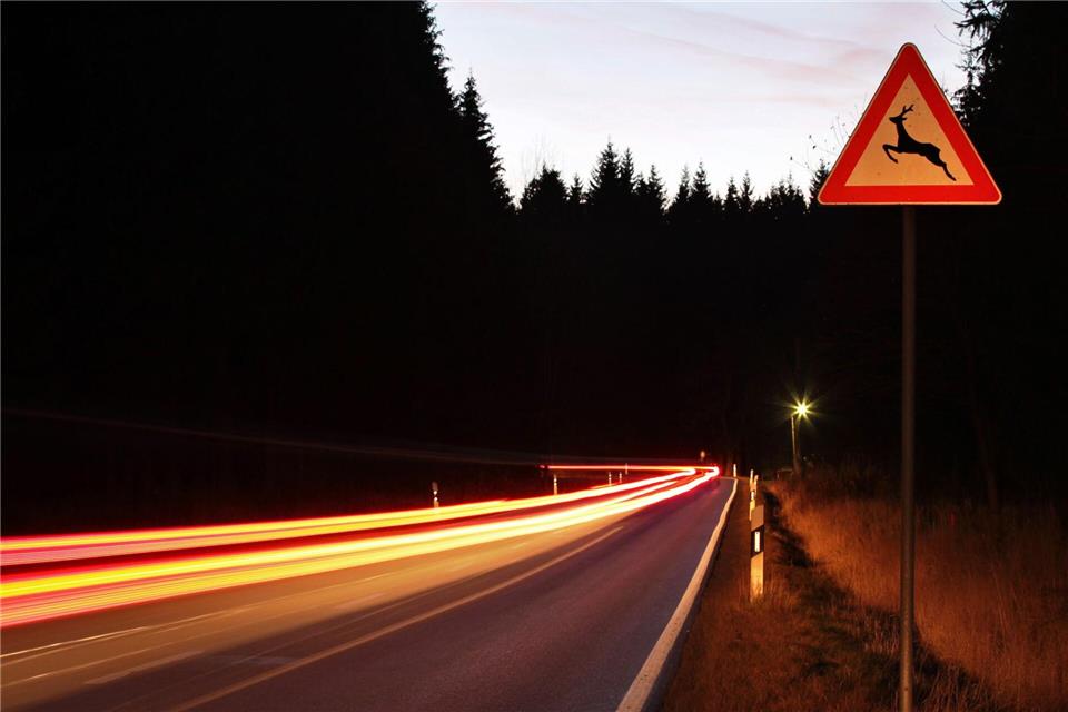 Ein Autofahrer ist bei Neubukow mit einem Hirsch zusammengestoßen. (Symbolbild)picture alliance/dpa/dpa-Zentralbild