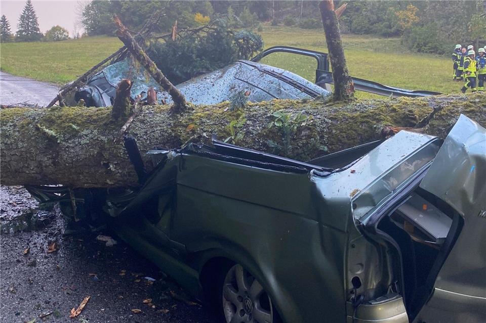 Orkanböen und Regen: Menschen verletzt, Straßen gesperrt Ein Baum ist bei Unwettern auf einen Kleinbus gestürzt.-/Polizeipräsidium Freiburg/dpa