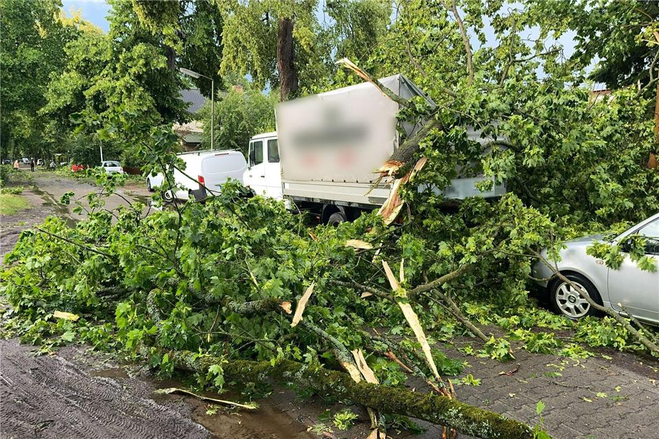 Ein Baum ist im Berliner Stadtteil Heiligensee durch schwere Böen auf Autos und einen Transporter gefallen.Jens Dudziak/dpa