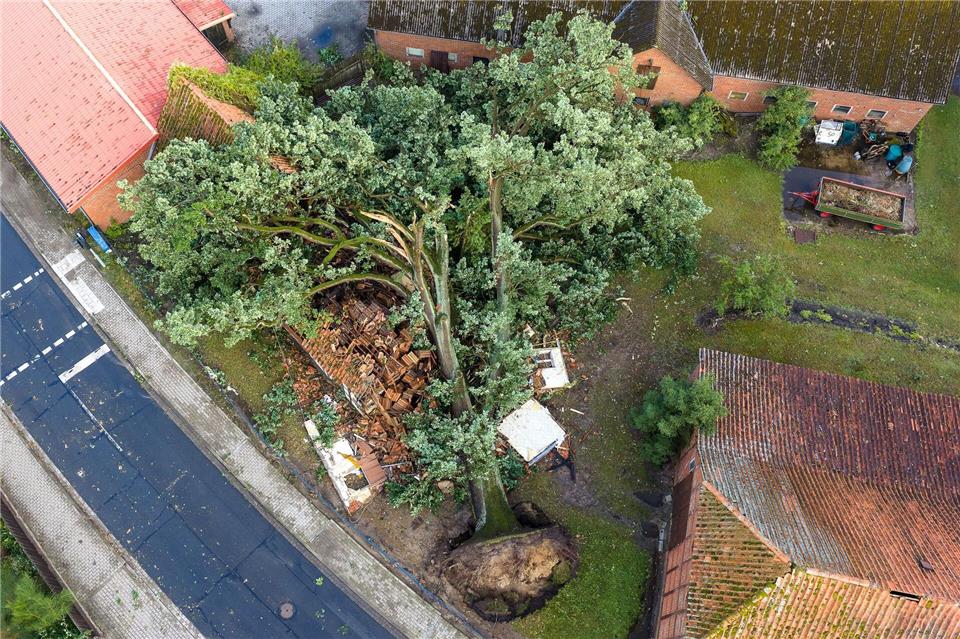 Ein Baum liegt nach einem Unwetter mit starken Stürmböen umgestürzt im Landkreis LüneburgRené Schröder/News5/dpa