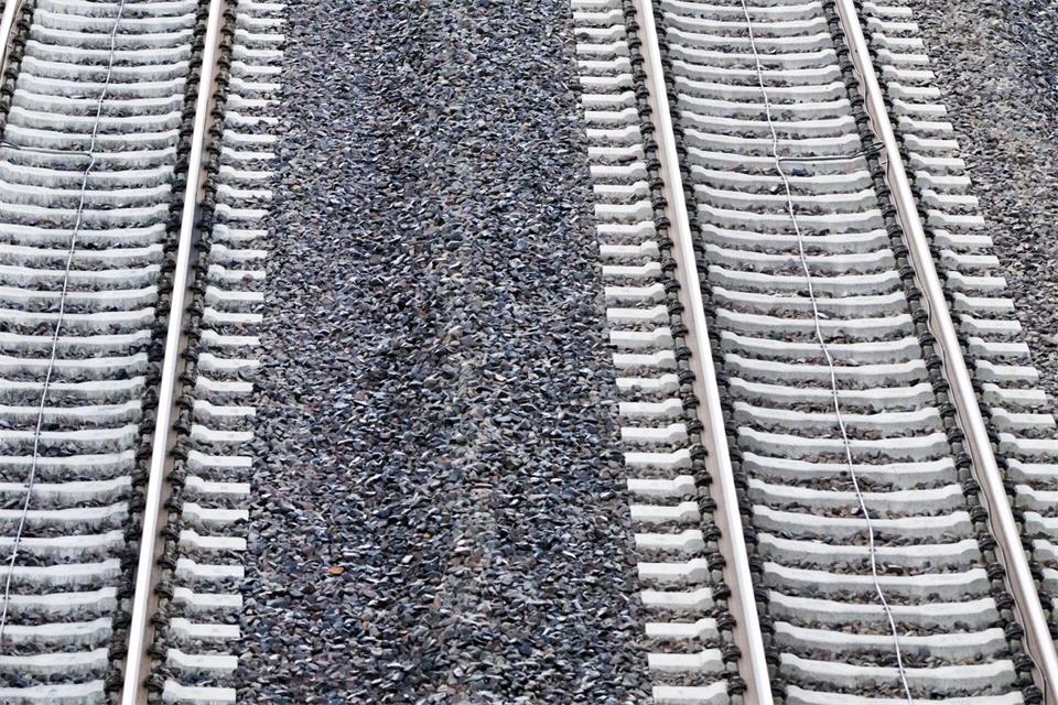 Ein Baum verhinderte die Weiterfahrt für die 155 Fahrgäste der S-Bahn. (Symbolbild)Julian Stratenschulte/dpa