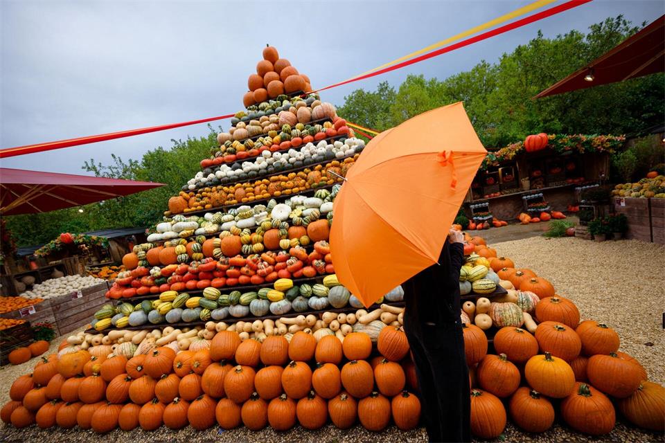 Ein Besucher vor einer Kürbispyramide bei der „Pumpkin Night“.Henning Kaiser/dpa