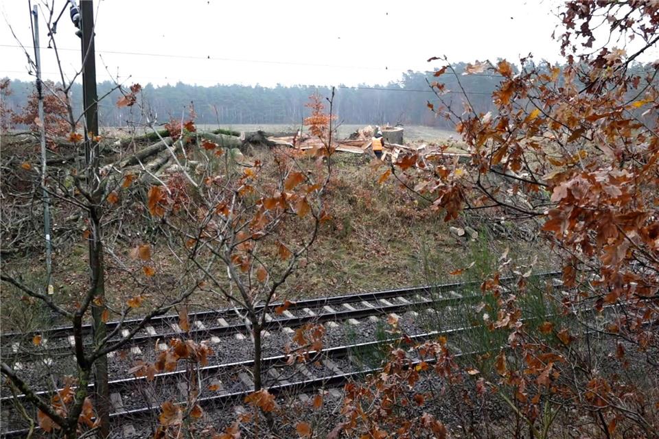Blitzeinschlag legt Zugverkehr im Norden lahm Ein Blitz ist zwischen Lüneburg und Uelzen eingeschlagen. Zugausfälle und Verspätungen im Verkehr in Deutschland waren die Folge.-/TNN/dpa