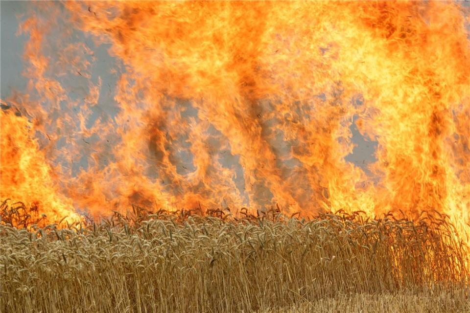 Ein Brand auf einem Feld kann sich schnell ausdehnen. (Symbolbild)Harald Tittel/dpa