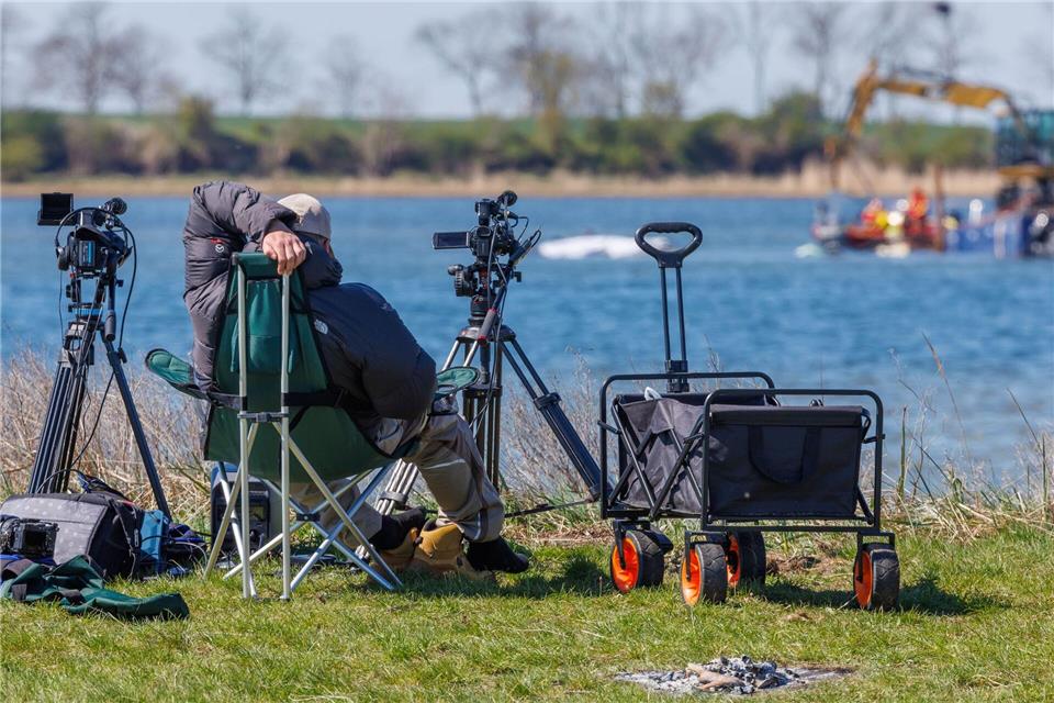 Ein Buckelwal hat teils internationale Presse auf die Insel Poel gelockt.Jens Büttner/dpa