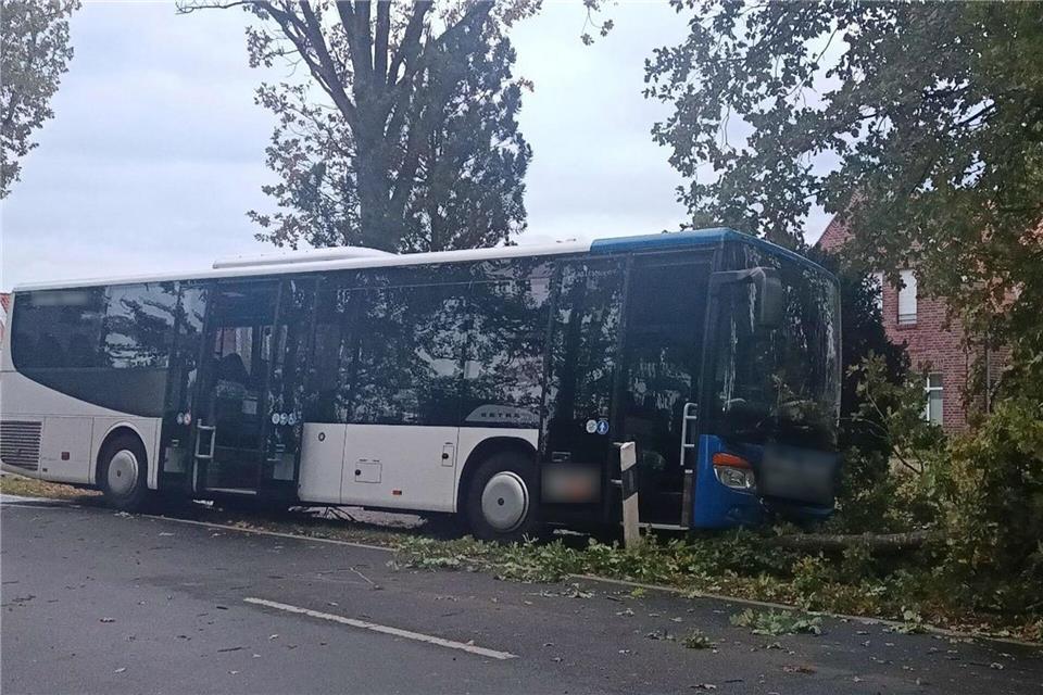Ein Busfahrer konnte im Landkreis Ammerland nicht mehr einem elfjährigen Kind ausweichen, das mit seinem Rad plötzlich auf die Straße fuhr. NWM-TV/dpa