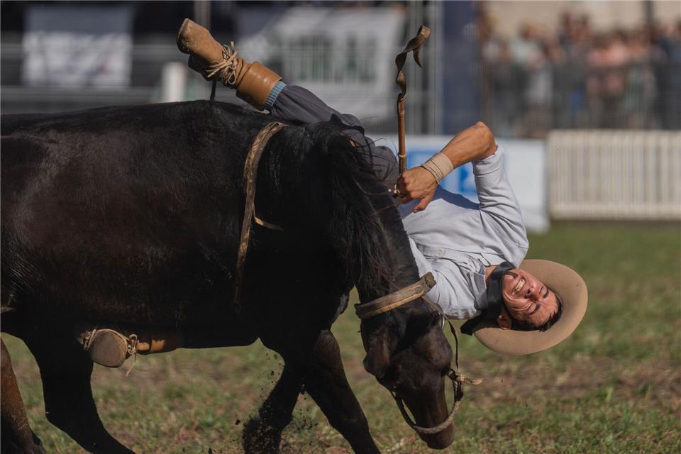 Ein Cowboy wird während eines Rodeofestivals vom Pferd gestoßen.Matilde Campodonico/AP/dpa