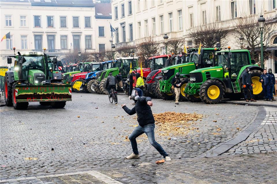 Ein Demonstrant wirft eine Kartoffel Richtung Europaparlament. Marius Burgelman/AP/dpa