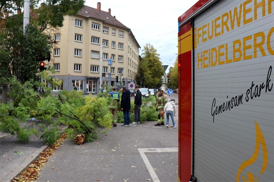 Ein Einsatzfahrzeug der Heidelberger Feuerwehr steht neben einem umgestürzten Baum. Rene Priebe/dpa