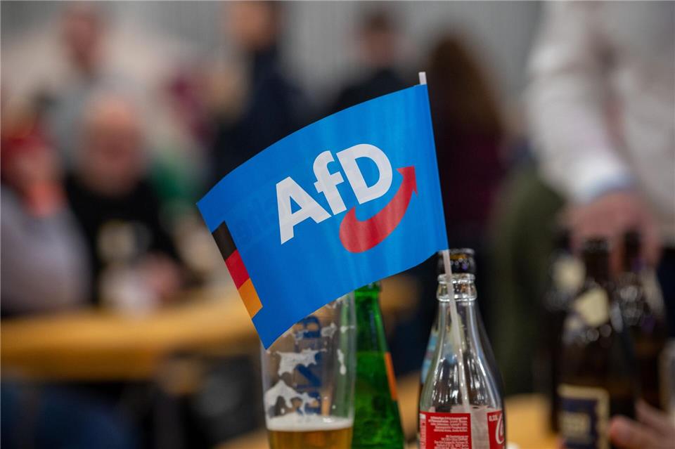 Ein Ergebnis von 20 plus X Prozent peilt die AfD bei der Landtagswahl in Rheinland-Pfalz an.Harald Tittel/dpa