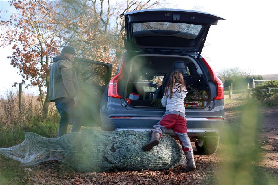Ein Erlebnis für die ganze Familie: Den passenden Weihnachtsbaum fürs Wohnzimmer aussuchen.picture alliance / dpa-tmn