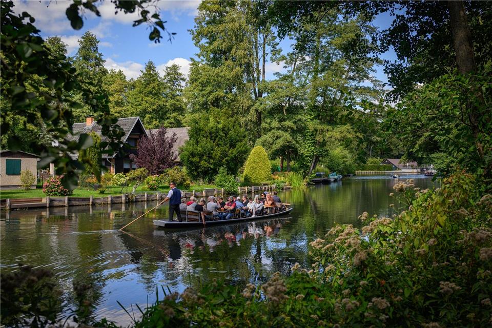 Ein Fährmann schiebt einen Kahn durch eines der zahlreichen Fließe im Spreewald - ein bisschen wie Venedig, nur ohne den Trubel.picture alliance/dpa