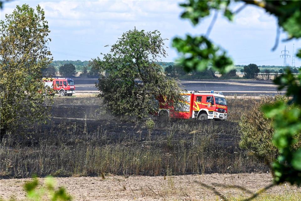 Ein Feldbrand an der A9 bei Bitterfeld-Wolfen führte zeitweise zu Sichtbehinderungen und Verkehrsbeeinträchtigungen.Heiko Rebsch/dpa
