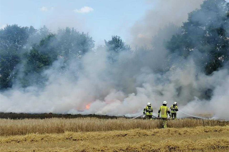Ein Feldbrand in Homer hat der Raesfelder Feuerwehr viel Arbeit bereitet.