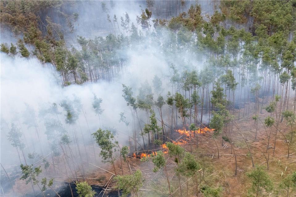 Ein Feuer brennt bei einem Wald- und Vegetationsbrand in der Gohrischheide im Landkreis Meißen.Sebastian Kahnert/dpa