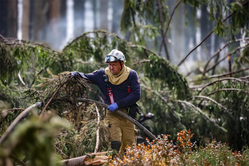 Ein Feuerwehrmann befeuchtet den Boden an den Brandstellen im Naturschutzgebiet „Hautes Fagnes“ (Hohen Venn).Julien Warnand//dpa