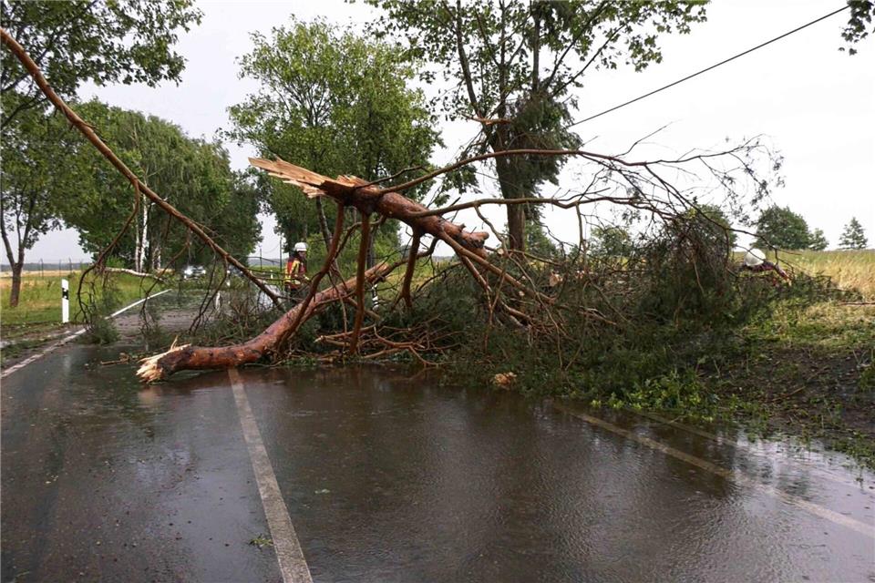 Ein Feuerwehrmann befreit bei Ludwigslust-Parchim eine Straße nach einem Gewitter von einem herabgefallenen Ast.Ralf Drefin/SWM DV Studio/dpa